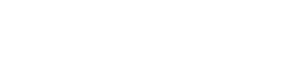 Colony Web Solutions Logo